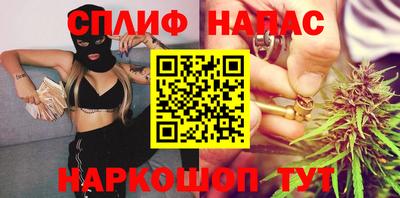 гидра Беслан