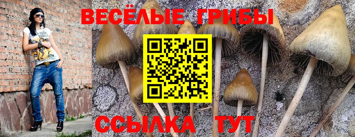 Псилоцибиновые грибы GOLDEN TEACHER Кимовск