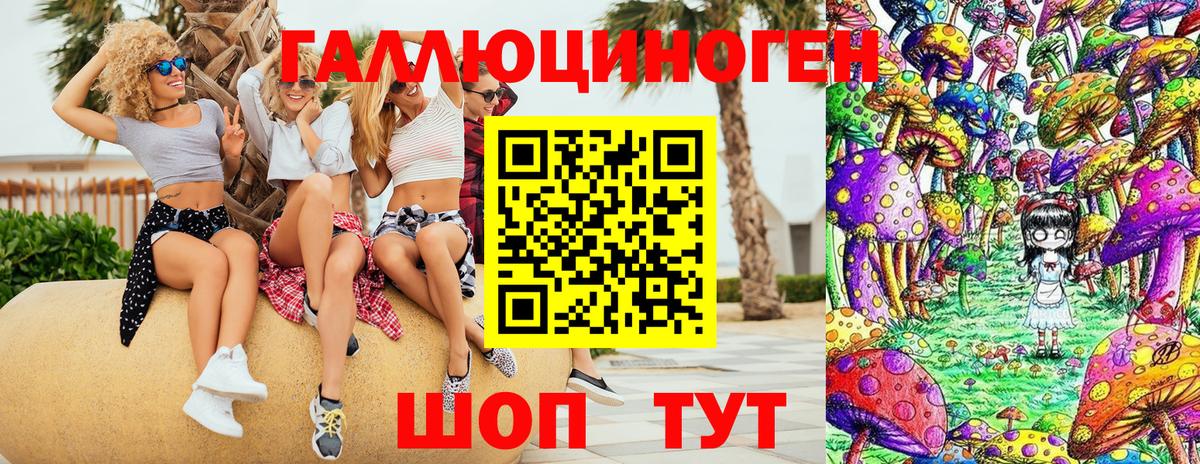 где купить наркоту  Вход с VPN  Галлюциногенные грибы мицелий  Кимовск  Галлюциногенные грибы Cubensis 